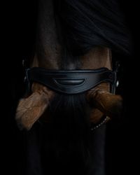 Ikkos Equestrian Bit & Bridle Fitter Ikkos Equestrian Bit & Bridle Fitter